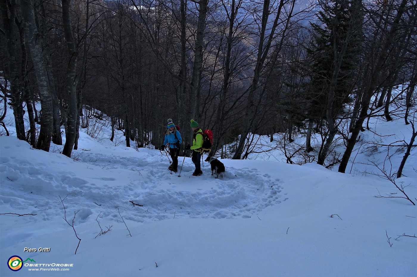 97 Dal Passo di Grialeggio sul sent. 136 scendiamo pestando neve nella faggeta.JPG